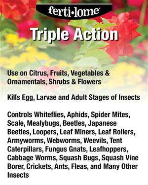 12244 12245 12246 11247 10251 Triple Action 72 dpi USE image 02